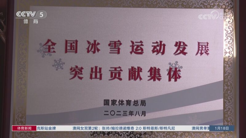 队整体表现