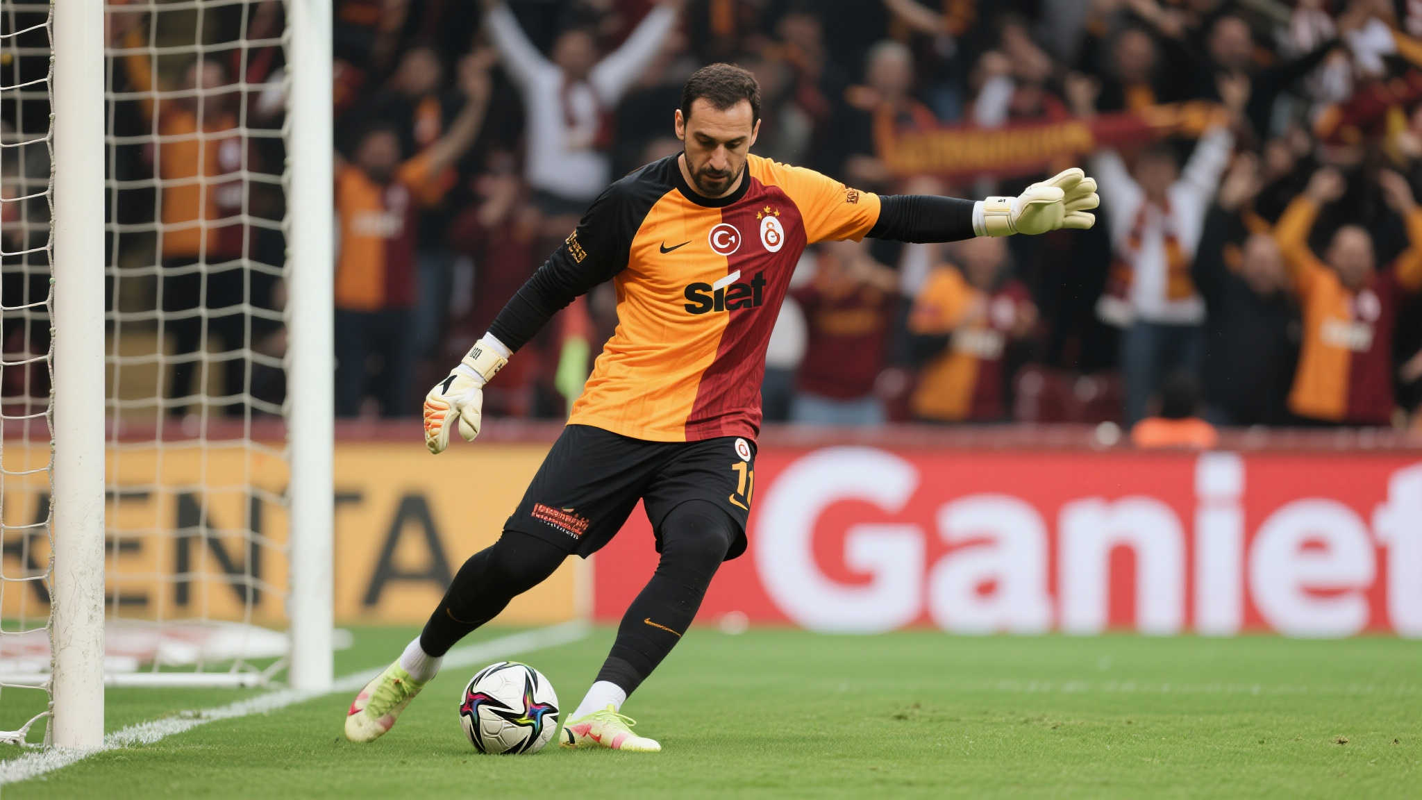 同時也樹立 同時也樹立