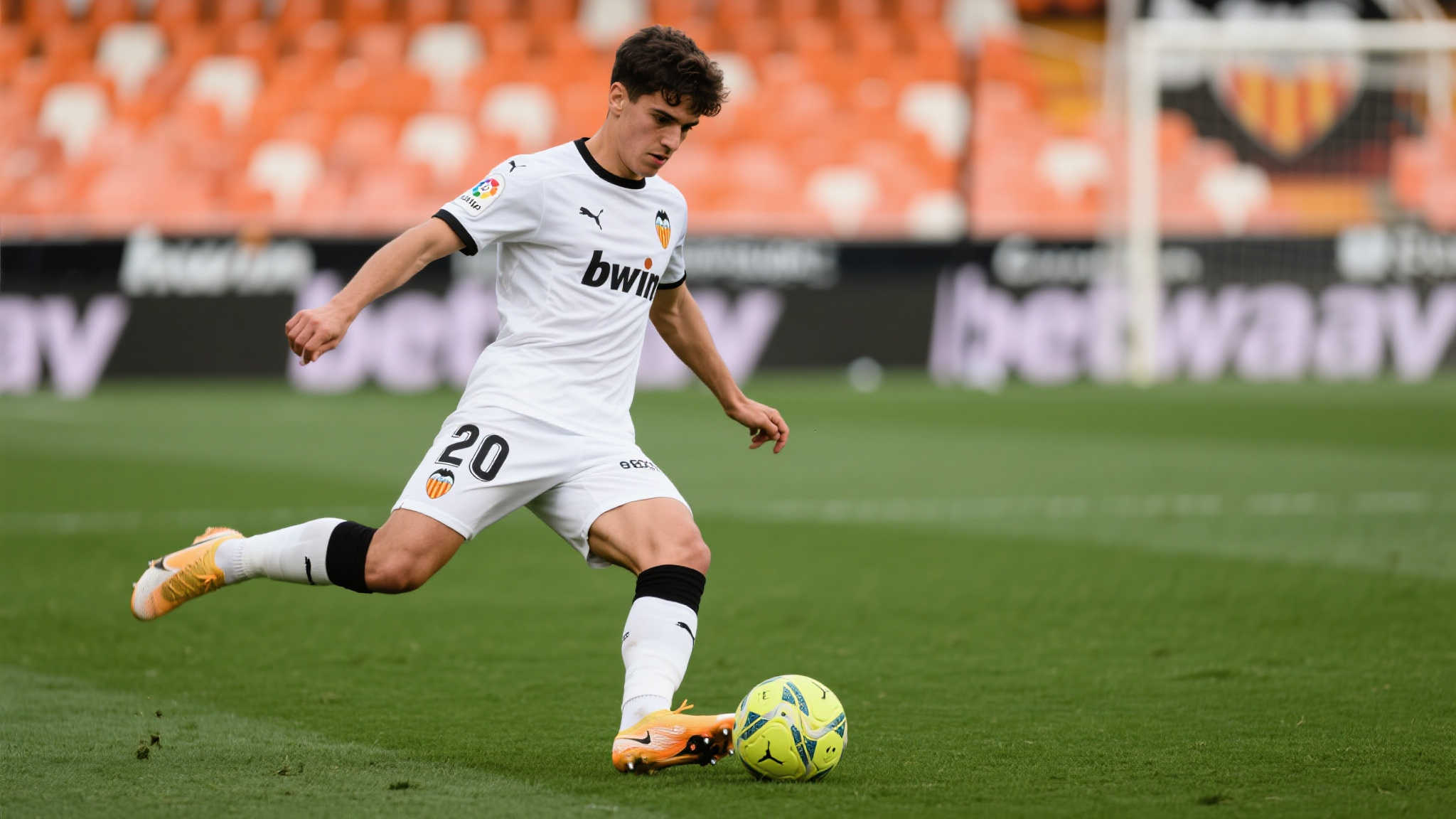 仅体现了足 仅体现了足