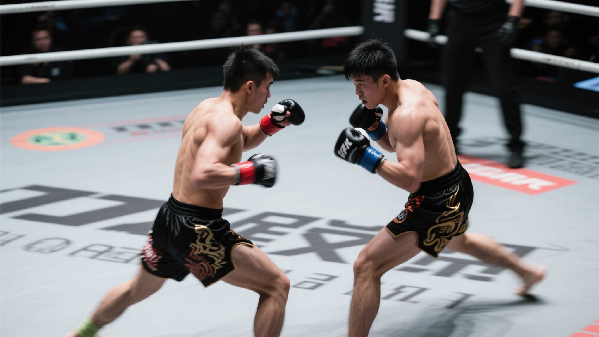 尽管天赋出 尽管天赋出